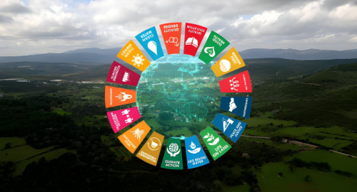 Diplomazia blu a Roma: si chiude il vertice ONU per salvare l'oro del pianeta